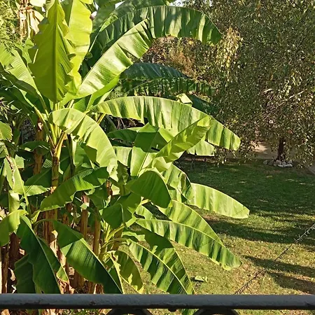 Les Bananiers Vakantiehuis *