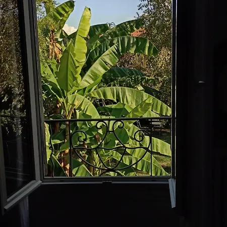 Les Bananiers Vakantiehuis Bergerac