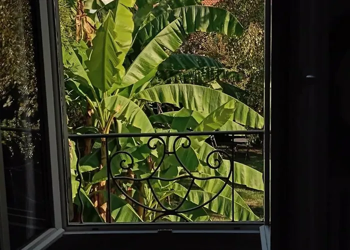 Les Bananiers Semesterbostad Bergerac